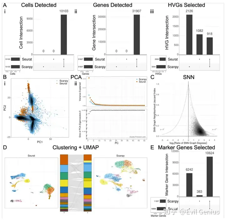  Seurat and Scanpy show considerable differences in scRNA-seq workflow results with default function arguments