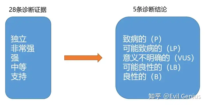 知识扩展---遗传病基因检测与ACMG分级