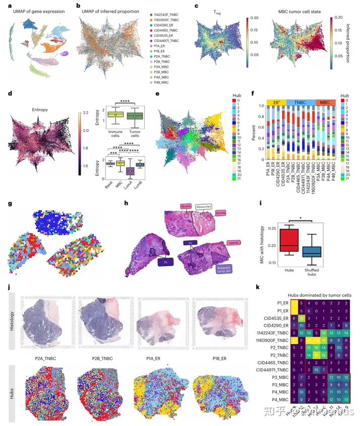 Characterizing tumor–immune hubs from the integration of samples