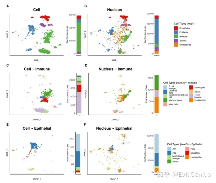 cell types annotations