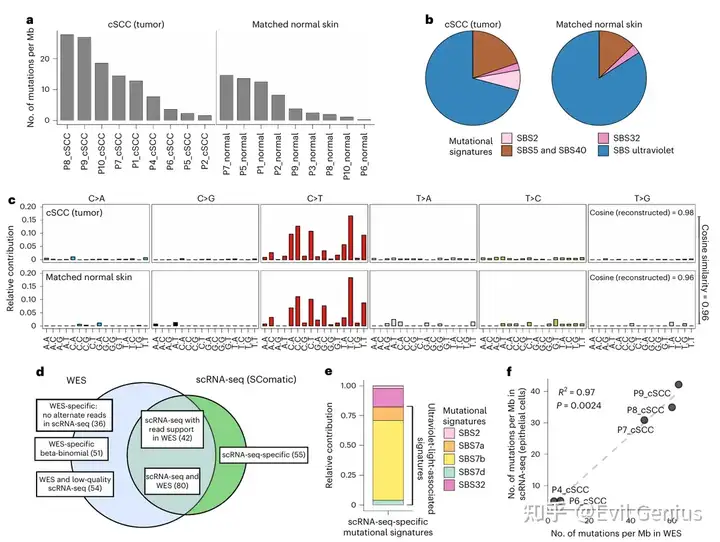 matched scRNA-seq and exome sequencing data
