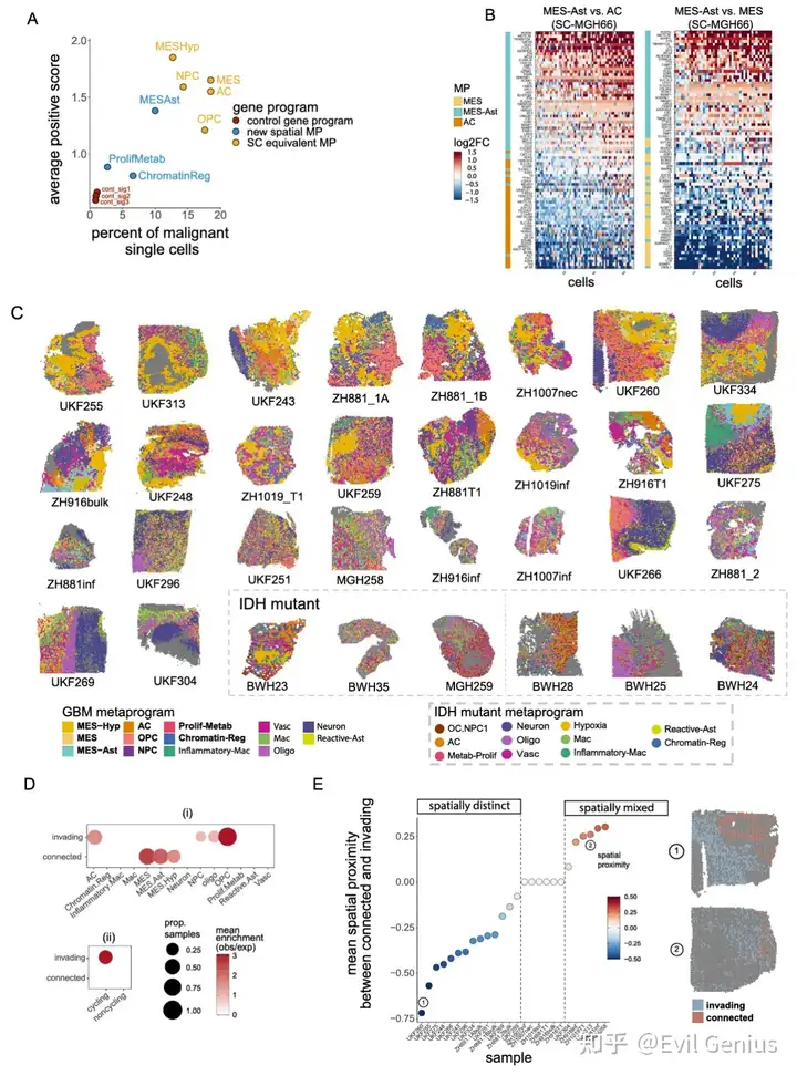   Mapping spatial metaprograms to cell states