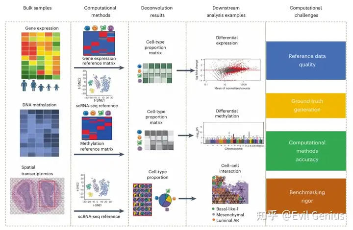 Overview of computational deconvolution in various genomics data types and related challenges