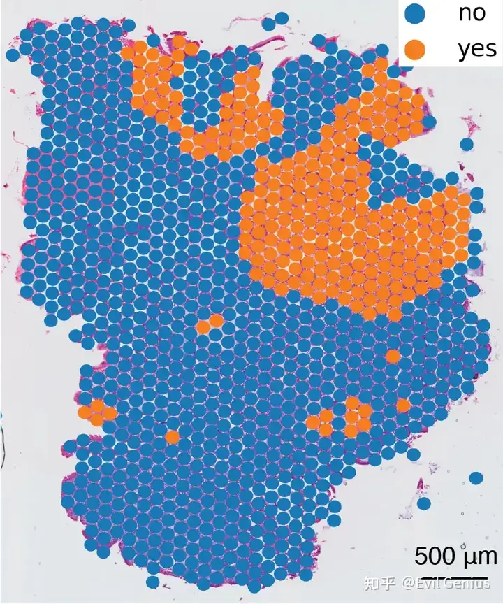 goblet combined result spot level