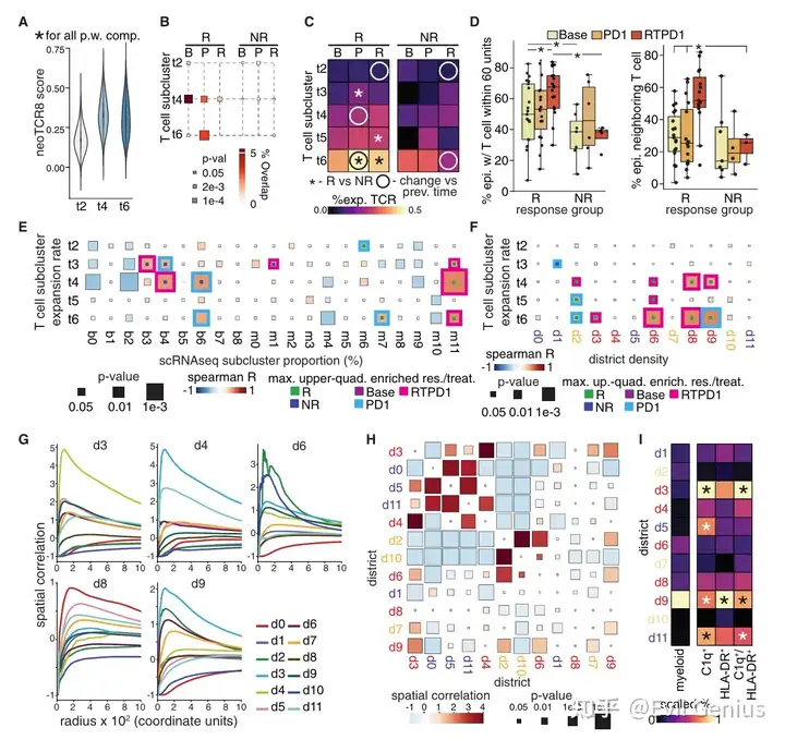  Correlate soft T cell clonal expansion