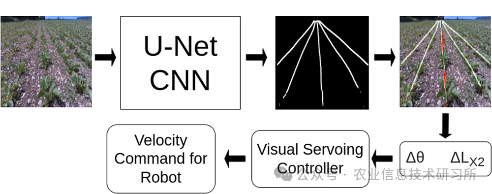 图5 使用U-Net CNN的作物行导航架构用于作物行掩码检测。U-Net CNN生成的裁剪掩码被三角形扫描方法用于预测中心裁剪行（ Δ θ 图片 ，裁剪行角度误差对应垂直轴; Δ L_{x2}中心裁剪行相对于图像中点的位置误差）。
