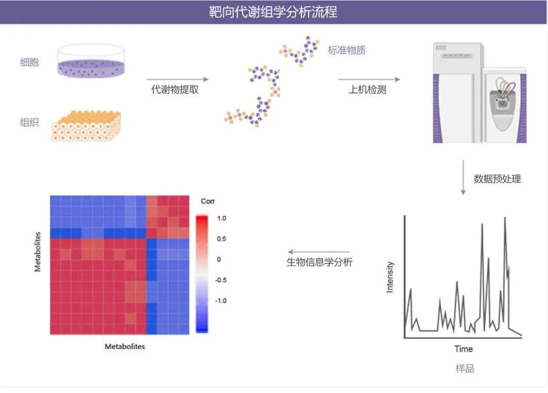 图 6. 靶向代谢组学分析流程