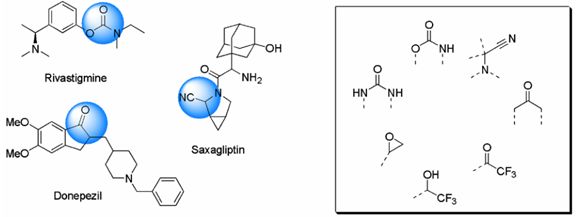 Fig 2. 商业化丝氨酸水解酶抑制剂及其结合丝氨酸的关键官能团 Covalent Screening Library