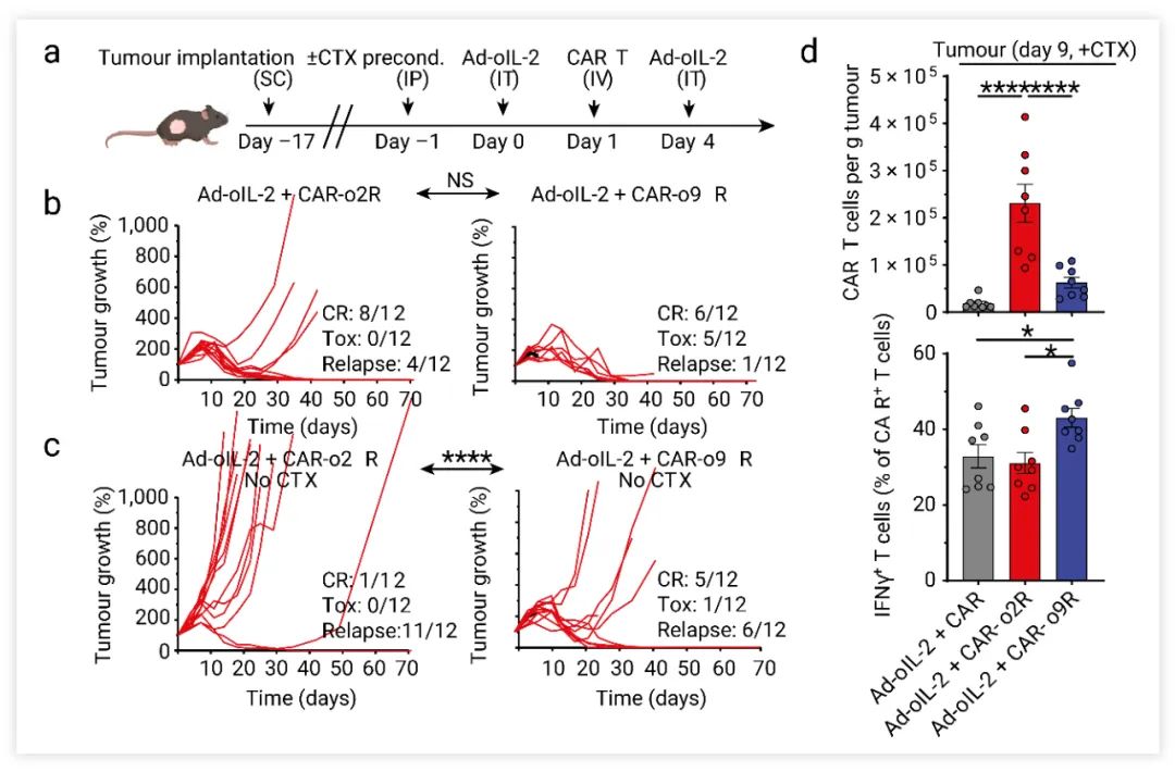 Fig. 7. o9R 信号通路提高了 CAR-T 细胞的效力[5]。a. PDA7940b 肿瘤过继转移治疗的模型示意图。b-c. 在 CTX 处理或没有CTX 处理的条件下 PDA7940b 肿瘤的个体生长曲线, CR：完全缓解；Tox：毒性；Relapse：复发。d. 在 CTX 治疗小鼠第 9 天是肿瘤浸润的 CAR-T 细胞的数量