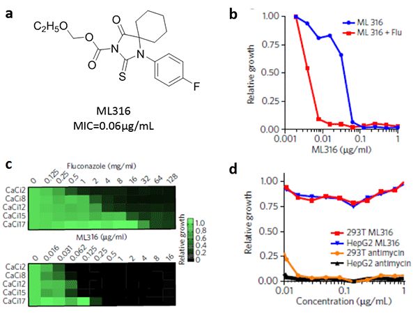 图1. ML316展现出强效的抗真菌活性 （图片来源：《Nat. Chem. Biol.》）