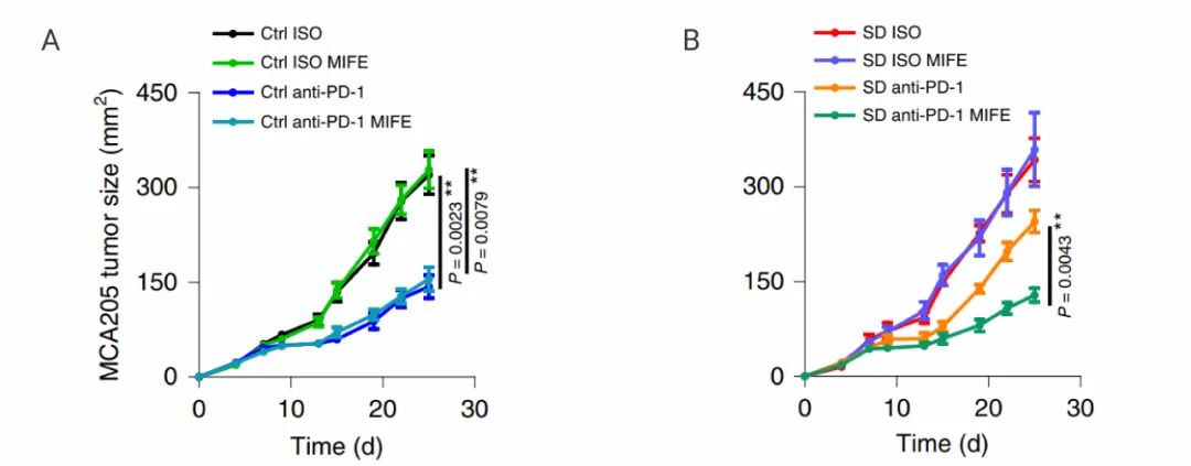 图 6. 同型对照的设置[5] A. 抗PD-1 mAb 或同种型 Ab 对对照小鼠 B. 抗PD-1 mAb 或同种型 Ab 对社交失败小鼠肿瘤生长的影响