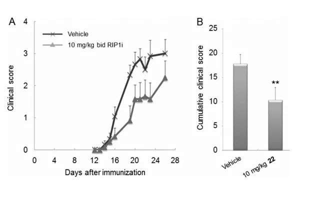 图 5. 评价化合物 22 在 EAE 模型中的效果