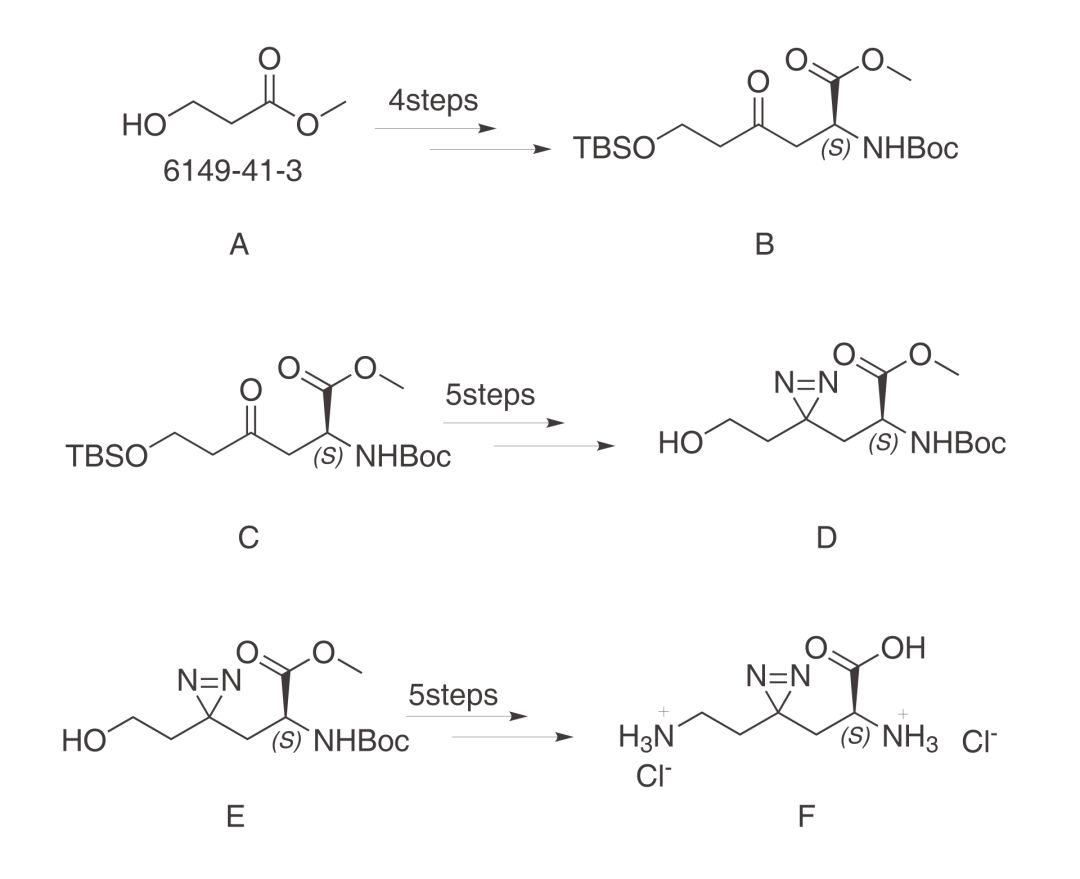 图3.反应赖氨酸（Photo-lysine）的合成路线