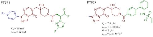 图1. FT671和FT827的分子结构式