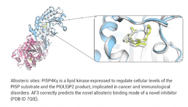 图 3. AlphaFold3准确预测 PI5P4K 激酶的别构口袋以及和小分子的相互作用模式