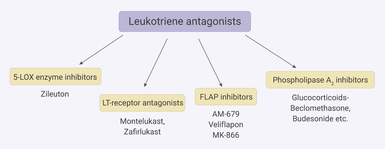 图 4. 白三烯拮抗剂的分类[7]