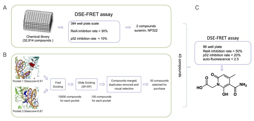 图 2. 使用计算机和 DSE-FRET系统筛选 RelA 特异性抑制剂[7] a. 首先通过高通量筛选从32914种化合物中筛选出2个化合物，b. 同时通过虚拟筛选选出 41 个相近化合物. c. 最后用DSE-FRET对43种化合物进行复测， 获得了 RelA 特异性抑制剂。