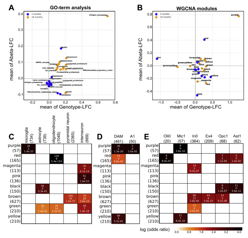 图 2. Gene Ontology 分析和 WGCNA 分析 (purple: PIGs; red: OLIGs)