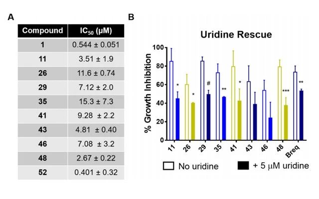 图3.DHODH 抑制剂对白血病细胞株 HL-60 中的影响(图片来源:《J. Med. Chem.》)