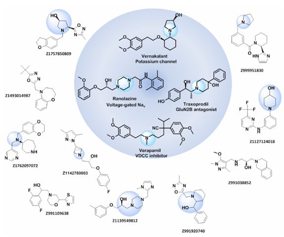 Fig 2. Ion Channel Library 中化合物举例