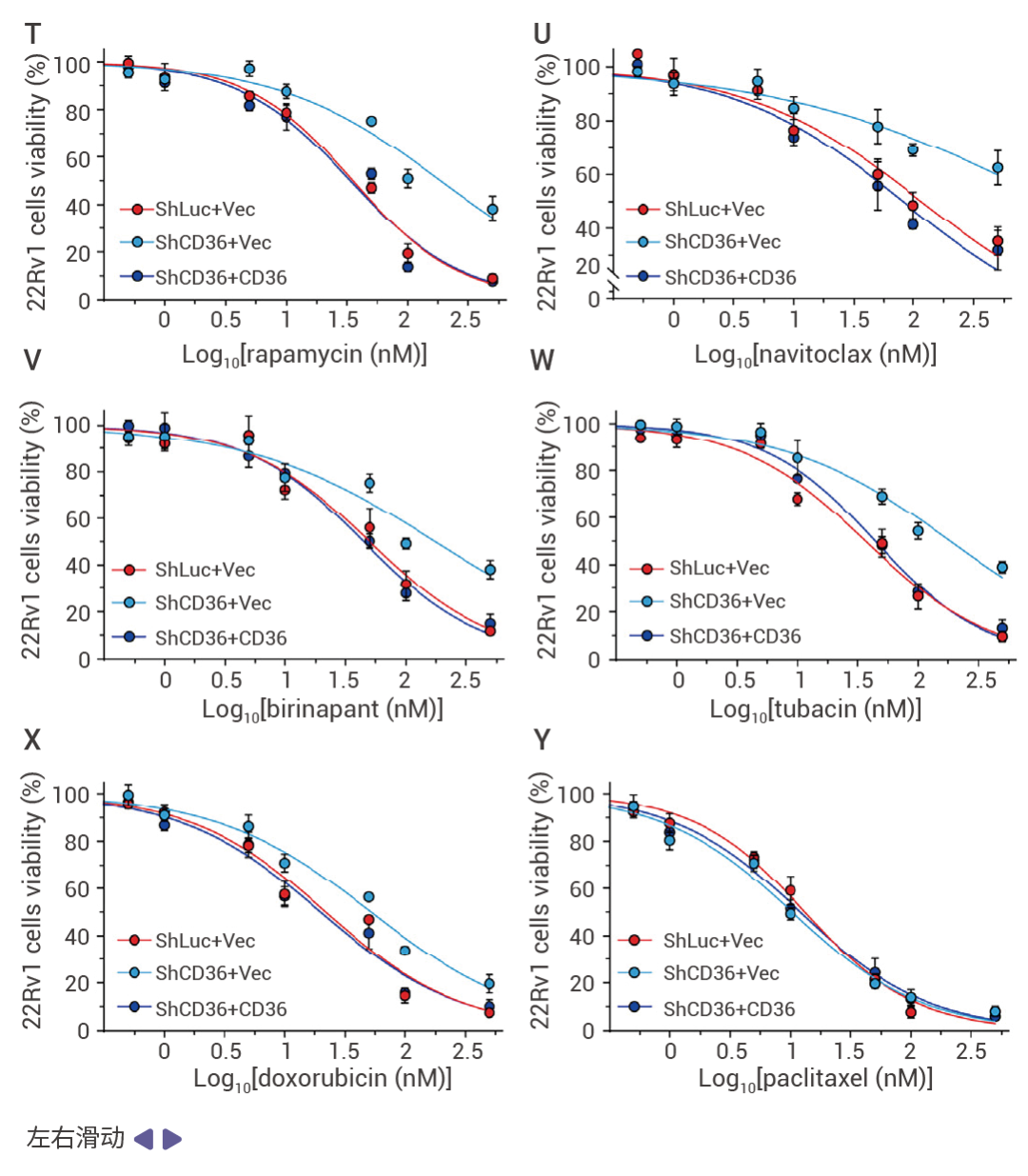 图 4.  ShCD36 逆转表性 bRo5 药物在 HCC1806 TNBC 细胞和 22Rv1 PCa 细胞中的细胞毒性 [1]。