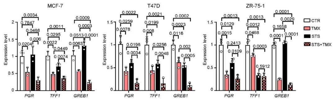 图 5. STS+Tamoxifen 降低了 TFF1、PGR 和 GREB1 的表达 【STS、Tamoxifen 、STS+Tamoxifen 处理降低了 TFF1、PGR 和 GREB1 的表达】