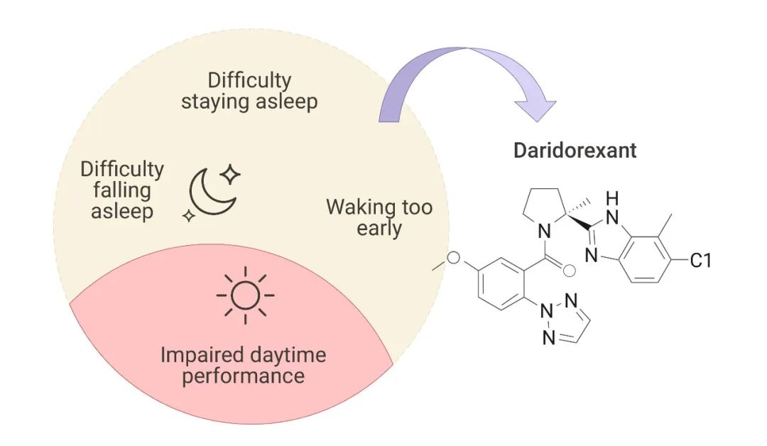 图 1. Daridorexant 作用机制[1]