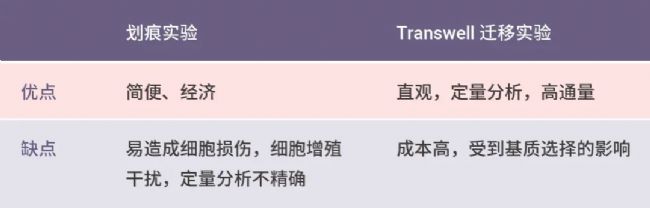 表 2. 划痕实验和 Transwell 迁移实验的优点和缺点。