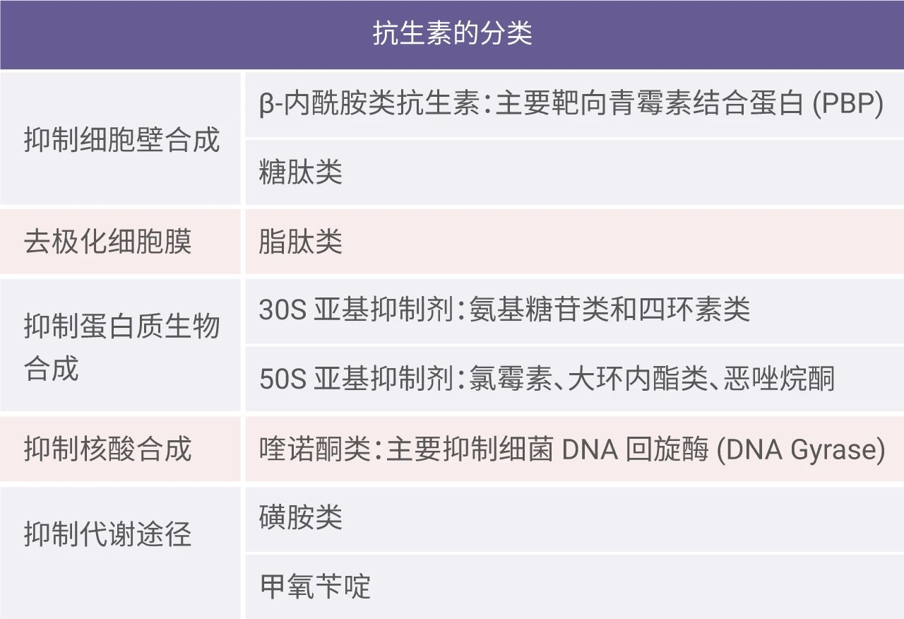 图 1. 抗生素按照作用机制分类[1]