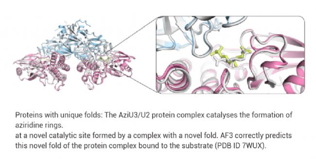 图 2. AlphaFold3 准确预测 AziU3/U2 蛋白与底物结合[2]