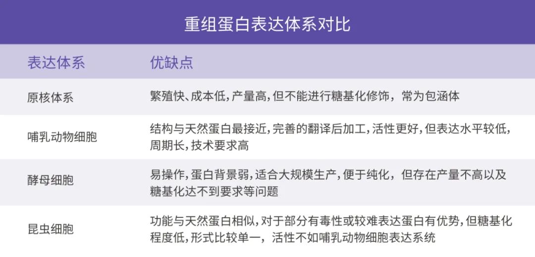 图 2. 重组蛋白表达体系的选择和对比