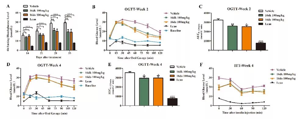 图3. 化合物16dk和16do的体内药效 （A）化合物对小鼠空腹血糖的影响； （B-E）化合物对小鼠口服糖耐量的影响； （F）化合物对小鼠的胰岛素敏感性影响（图片来源：《European Journal of Medicinal Chemistry》）