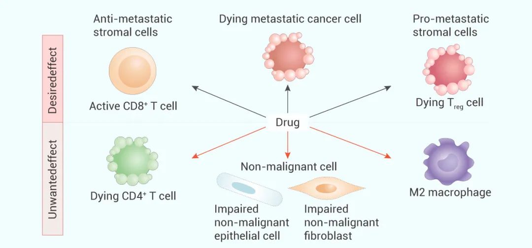 图 4. 肿瘤微环境中的靶向代谢[9]