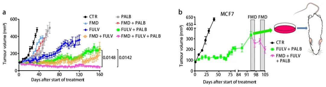 图 5. FMD 联合 Palbociclib 和 Fulvestrant 抑制肿瘤的生长 【PALB: Palbociclib】