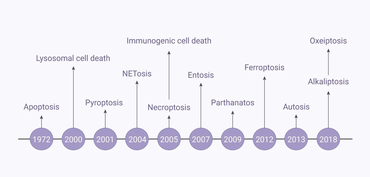 图 1. “细胞死亡”的研究历史