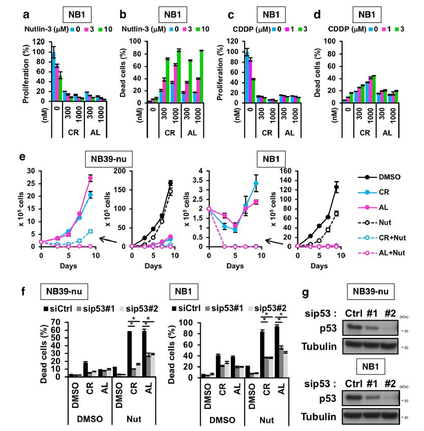 图2. ALK抑制剂与p53激活剂联合治疗神经母细胞瘤,可有效诱导细胞死亡 (图片来源: 《CellDeath Discovery》)