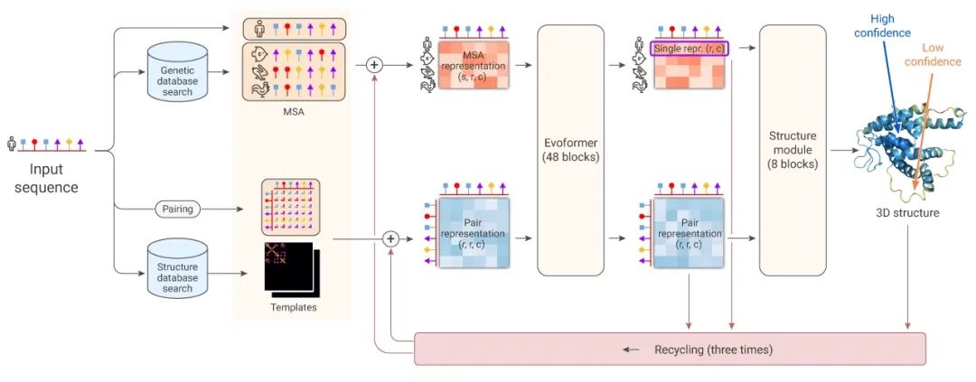 图 3. AlphaFold2 计算蛋白三维结构模型图