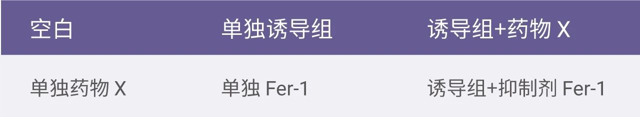 Table 1. 小白的实验分组