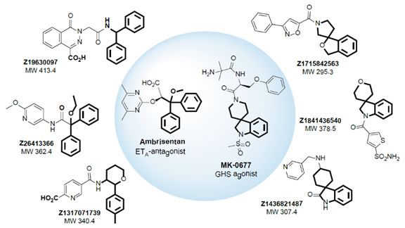 Fig1. GPCR Library 中化合物举例 Kinase Library   (含64,000种化合物) 用于发现新的蛋白激酶抑制剂