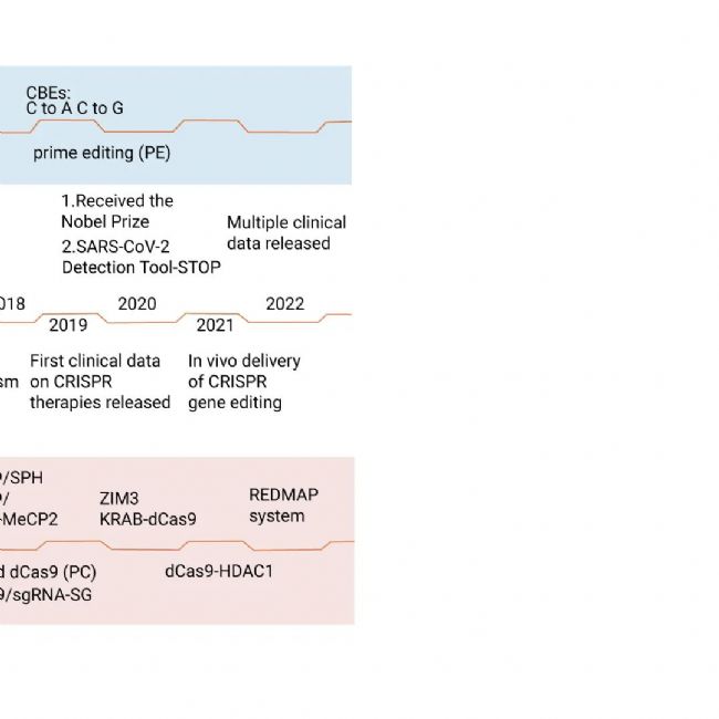 图 1. CRISPR/Cas 相关的基因编辑技术发展历程[3]。