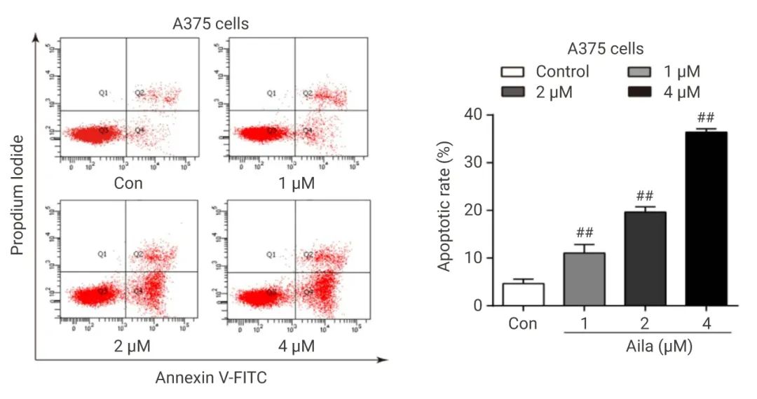 图 6. 不同浓度臭椿酮诱导 A375 细胞的凋亡情况[5]此外，除了用 FITC 标记 Annexin V 之外，也可以用 EGFP、PE、mCherry 等作为荧光探针哦。