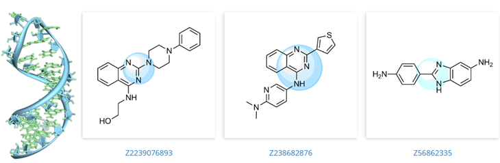 Fig 3. RNA Library 中化合物举例