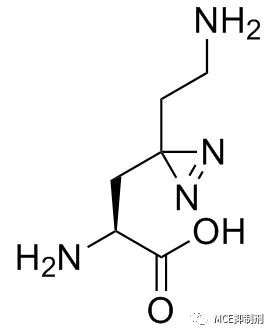 图1. Photo-lysine结构式
