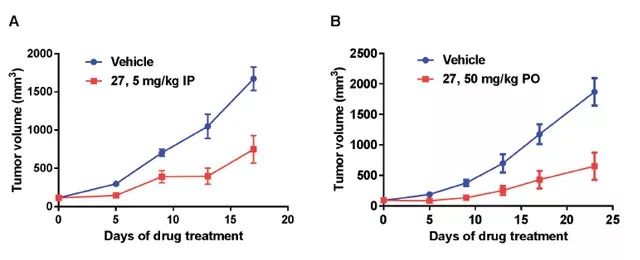 图4.XY101 可明显抑制小鼠体内肿瘤的生长