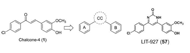 图1. 化合物 Chalcone-4 的构效关系研究 