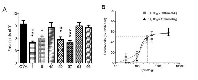 图3. 化合物对气道嗜酸细胞增多症的过敏性哮喘小鼠模型体内抗炎活性的评价