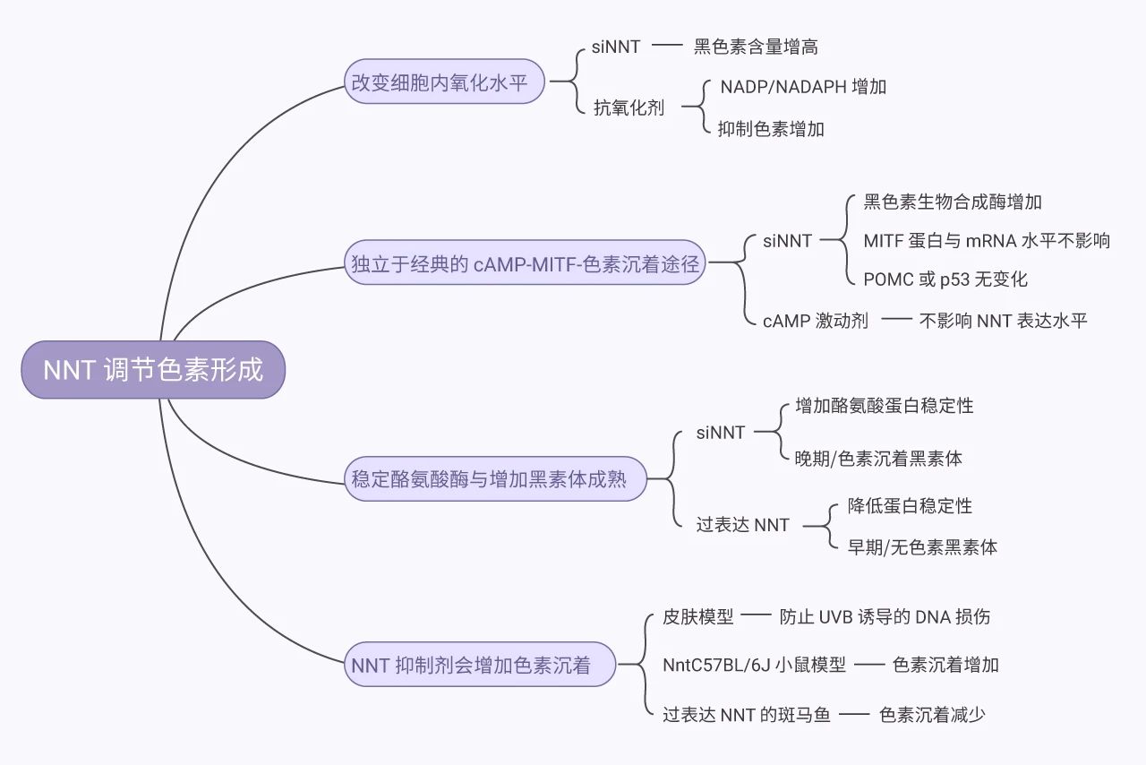 图 2. 研究思路