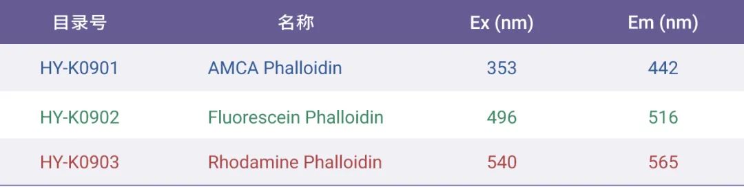表 2. MCE 细胞骨架荧光试剂