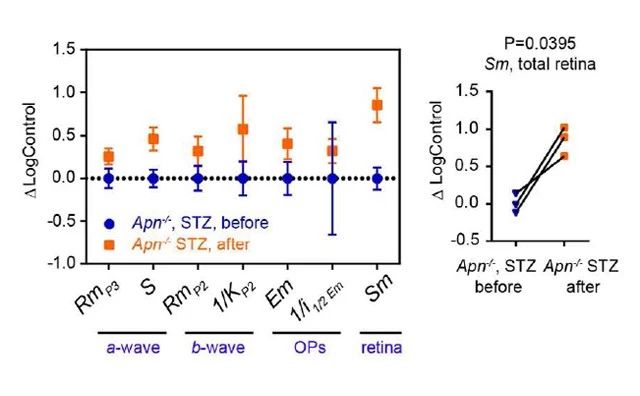 Figure 3. PF-05231023 改善 APN 缺失糖尿病小鼠的视网膜敏感度