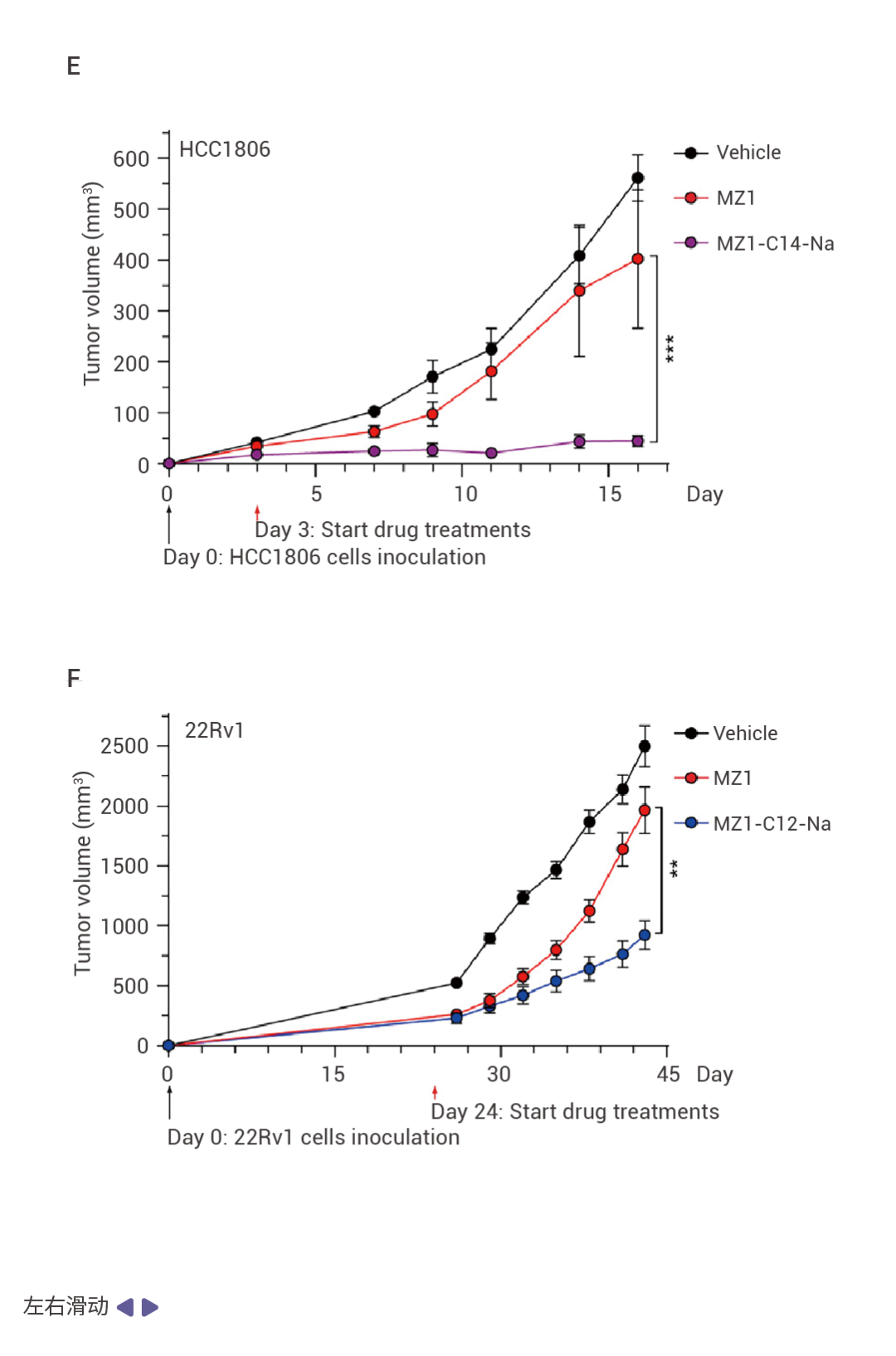 图 5. 通过可切割键对 CD36 进行结构修饰，可以提高 PROTAC 的渗透性和活性[1]。 (A) 基于 vhl 的 BRD4 PROTAC MZ1 及其优化 MZ1 类似物的化学结构和 CD36 结合亲和力；(B-D) 免疫印记显示经空白、(+)-JQ1、 PROTAC MZ1 , 优化后的 MZ1 类似物 MZ1-Cs-Na , MZ1-Cs-NH, 或 MZ1-Cs-NB 处理后，BRD4 在 HCC1806 或 22Rv1 中的表达量；(E) MZ1 及 MZ1-C14-Na 处理小鼠后，肿瘤体积变化；(F) MZ1 及麻醉-C12-NB 处理小鼠后，肿瘤体积变化。